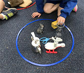 Sort it out! activities